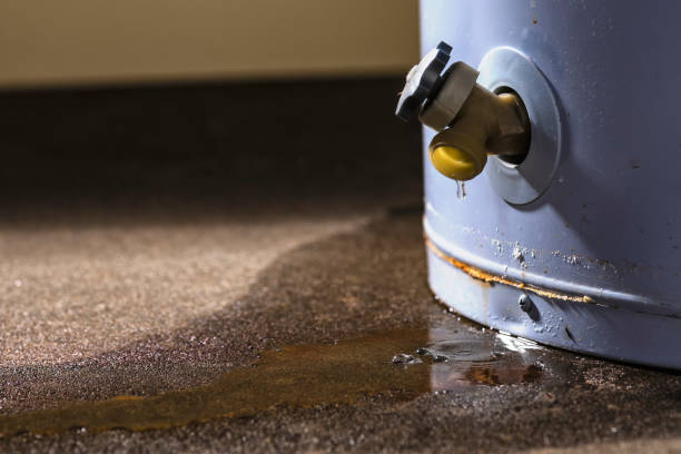 Best Flooded house restoration  in Aztec, NM