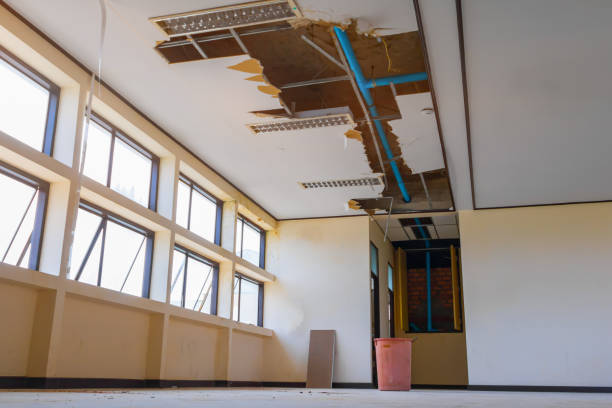 Best Ceiling water damage repair  in Aztec, NM