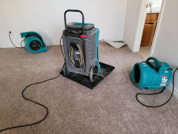 Best Water damage restoration specialists  in Aztec, NM