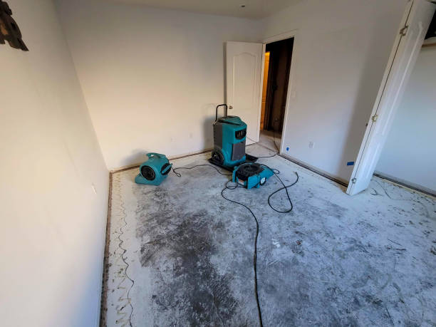 Best Water damage restoration near me  in Aztec, NM