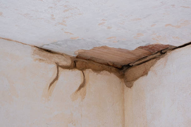 Best Professional water damage repair  in Aztec, NM