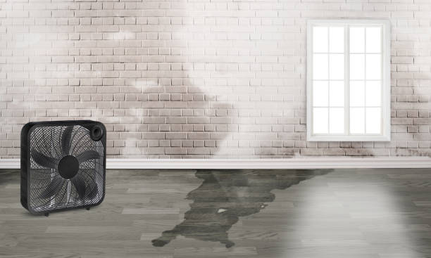 Professional Water damage restoration in NM