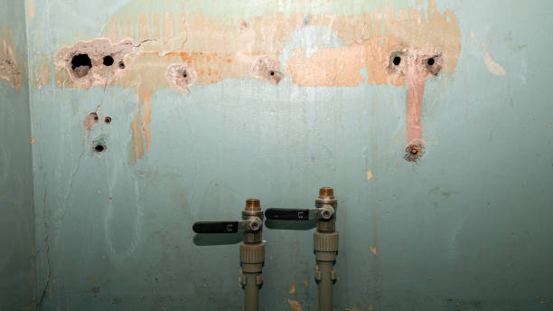 Best Residential water damage restoration  in Aztec, NM