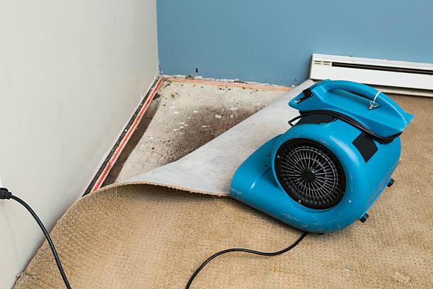 Best Basement water damage restoration  in Aztec, NM